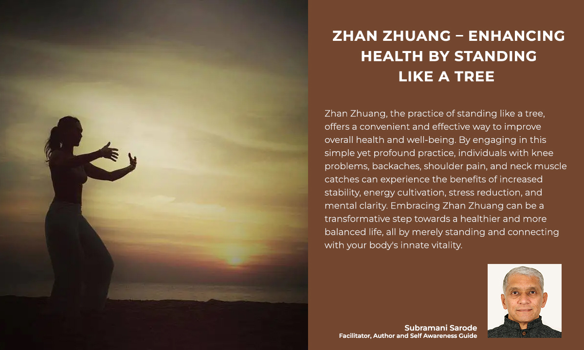 zhan-zhuang-enhancing-health-through meditation